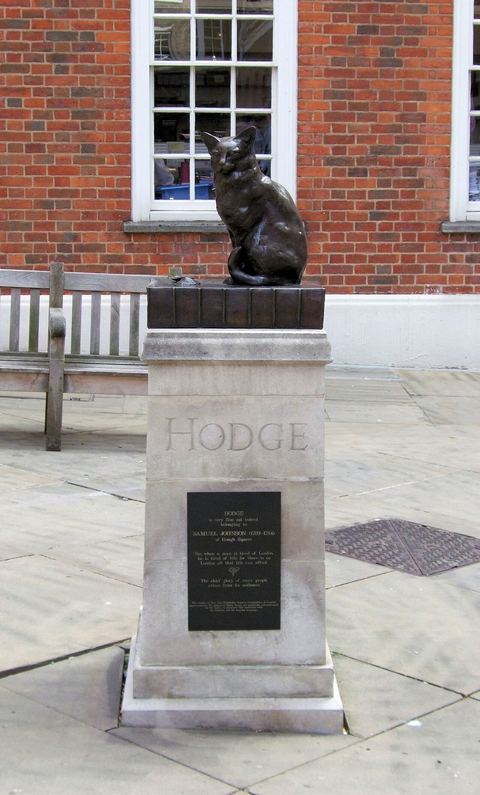 Hodge the Cat