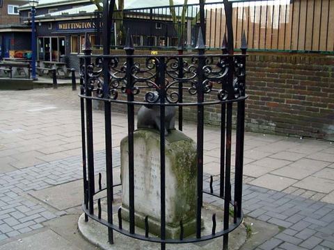 The Whittington Stone Cat